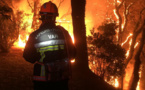 Côte d’Azur : des évacuations de populations en raison d’un « très virulent » incendie de forêt