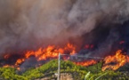 Incendies en Grèce : les pompiers combattent deux nouveaux feux de forêt
