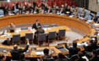 Le Conseil de sécurité de l’ONU en mission au Sahel pour réclamer un pouvoir civil au Mali