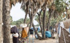 Le nombre de déplacés augmente dramatiquement au Sahel, selon le HCR