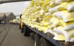 L’Inde vers une restriction de ses exportations de riz, le Sénégal concerné