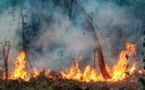 L'Amazonie brûle à la "nouvelle frontière de la déforestation"