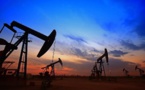 L'Opep+ réduit sa production de pétrole face aux craintes de récession