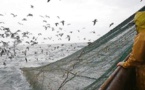 Pêche: l'UE ferme une partie de l'Atlantique au chalutage en eau profonde