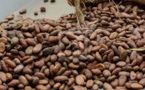 Madagascar : 15.000 tonnes de cacao exportées pour 17 milliards FCFA de revenus en 2021