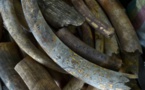 Ouganda: un trafiquant d'ivoire condamné à la prison à vie