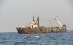 Pêche pirate – Plus de 11 milliards $ de flux d’argent illicites échappent à l’Afrique (rapport)