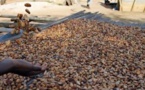L'ultimatum de la Côte d'Ivoire et du Ghana aux multinationales du cacao