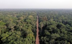 RDC, Brésil et Indonésie signent un partenariat sur la préservation forestière