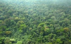 Côte d’Ivoire - Lancement d'un projet de 143 millions d’euros pour stopper la déforestation