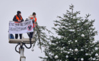 Action coup de poing - Des activistes du climat décapitent le sapin de Noël de Berlin