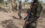 Bénin : la violence djihadiste se propage en Afrique de l'Ouest