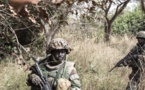 Zone Sud - L'Armée fait le bilan d'une semaine d'opérations contre les "bandes criminelles" du MFDC
