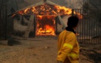 ​Chili - Au moins 13 morts dans plus de 200 incendies de forêt