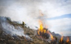 Incendies : 15 morts et 26 blessés dans le nord de l'Algérie