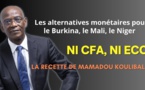 Mamadou Koulibaly - Alternatives monétaires pour Burkina, Mali et Niger: ni CFA, ni ECO