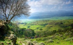 Ethiopie : l'UNESCO inscrit le Parc national des monts Balé au patrimoine mondial