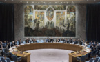 ONU : cinq pays entament leur mandat de membres non permanents au Conseil de sécurité