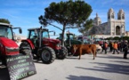 Manifestation d’agriculteurs dans le centre de Marseille