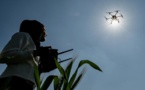 En Inde, les "drone sisters" pilotent l'agriculture et le changement social