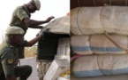 1137 kg de cocaïne : A Kidira, la Douane célèbre « la plus importante saisie par voie terrestre au Sénégal »