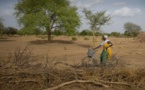 Le changement climatique «d'origine humaine» derrière la vague de chaleur meurtrière au Sahel