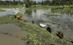 L’Afrique de l'Est dévastée par des inondations