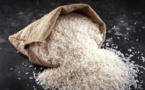 Sénégal : plus d'un million de tonnes de riz paddy produites en 2023
