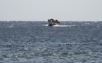 Au large de Djibouti, au moins 48 morts dans le naufrage de deux bateaux de migrants