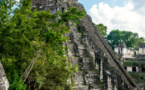 Découverte d'une ancienne cité maya dans la forêt tropicale mexicaine