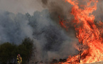 Une partie de l'Europe toujours en proie aux incendies