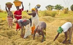 Slow Food Sénégal célèbre la Terra Madre Day avec les Marchés de la Terre, le 13 décembre 2025