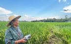 Anhui : une grand-mère chinoise de 82 ans devient pilote de drone agricole