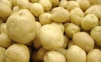 SENEGAL - Le ministre de l'Agriculture annonce une production de plus de 255 000 tonnes de pomme de terre