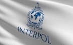 Cybercriminalité en Afrique : 651 arrestations après une vaste opération, annonce Interpol