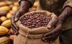 Industrie du cacao: quand le chocolat enrichit les multinationales et ruine l’Afrique