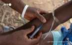 L’Inde exporte illégalement des opioïdes puissants en Afrique de l’Ouest