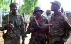 Sénégal: en Casamance, des rebelles affaiblis mais la paix minée par le cannabis