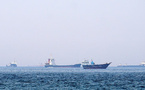 Détroit d’Ormuz : le passage de 20 navires commerciaux en 24 heures sous la coordination de la marine du CGRI (Press TV)