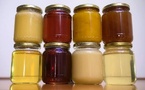 Insecticides: une ONG dénonce des traces d'acétamipride dans le Nutella et le miel en France