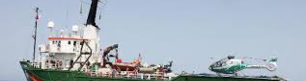 Le président José Mario Vaz rend visite au bateau de Greenpeace après l'arrestation de navires de pêche illégaux