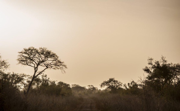 Bénin: le corps du guide des touristes français identifié, la "thèse de l'enlèvement se précise"