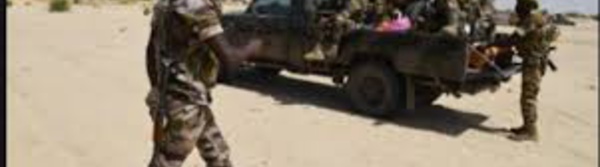 Niger : 50 combattants de Boko Haram "neutralisés" dans le sud-est