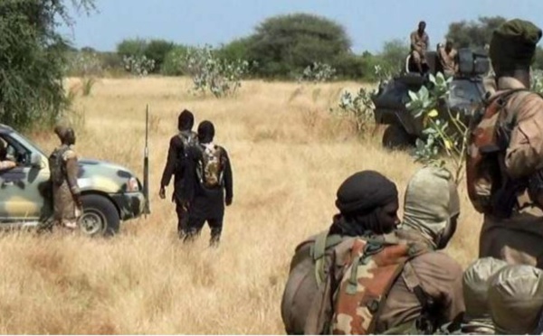 Somalie : au moins 61 terroristes d’al Shabab tués par l’armée