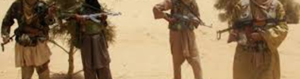 L'armée algérienne dénonce le « deal » pour libérer les otages au Mali