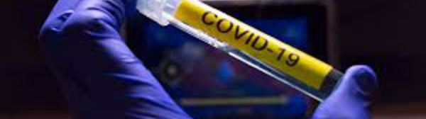 Afrique : des projets contre la désinformation et la corruption liée au coronavirus