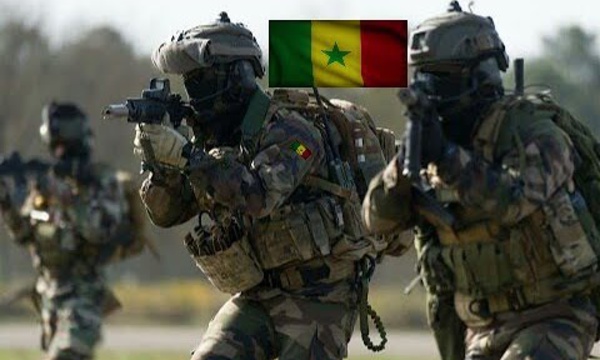 « Falémé 20 » : l’armée sénégalaise en manœuvres à l’est du pays