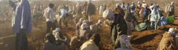 TCHAD : 24 morts dans de nouveaux combats entre tribus rivales