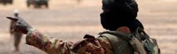 NIGER : une nouvelle attaque terroriste fait 7 morts à quelques jours de la présidentielle