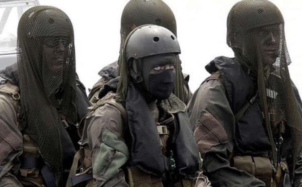 Lutte contre le djihadisme : Le Danemark enverra une centaine de soldats au Mali en 2022